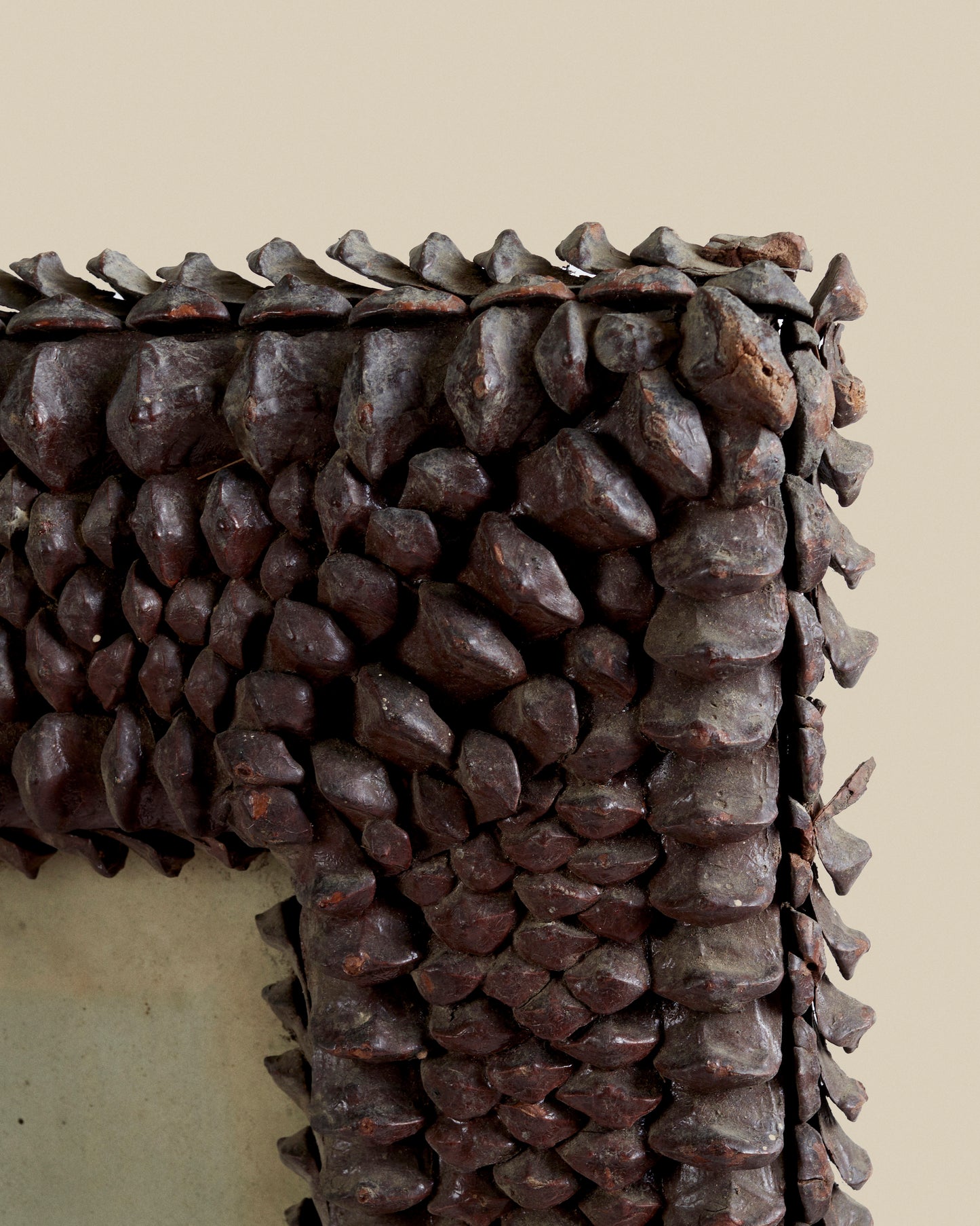 Pine cone art frame